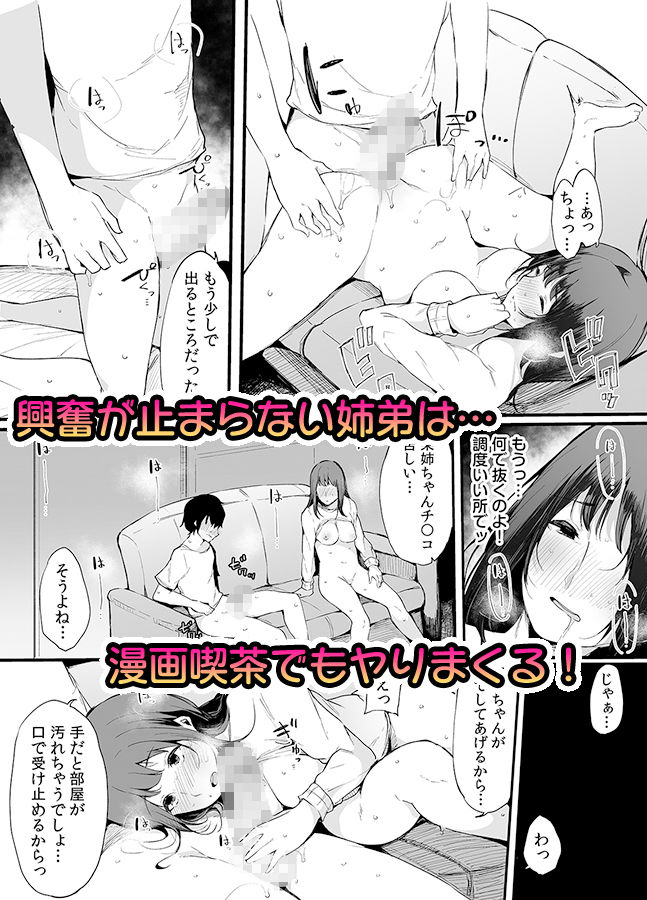 弟にエロ漫画と同じ事をされちゃうお姉ちゃんの話 2