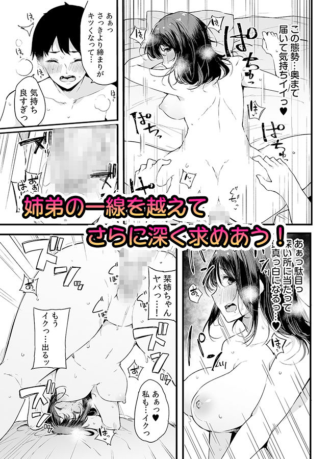 弟にエロ漫画と同じ事をされちゃうお姉ちゃんの話 2