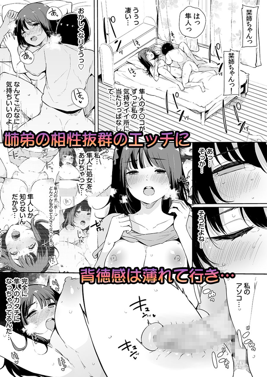 弟にエロ漫画と同じ事をされちゃうお姉ちゃんの話 3