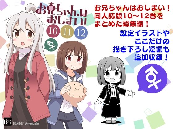 お兄ちゃんはおしまい！総集編（10）（11）（12）