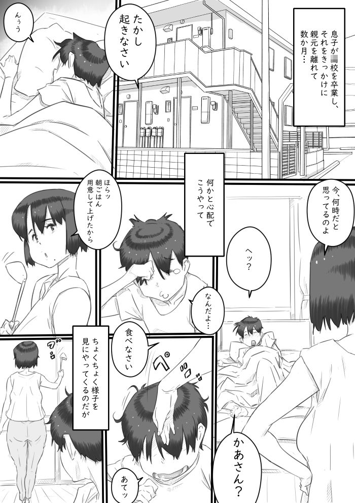 一人暮らしの息子の部屋で…‐母と息子の秘密の関係‐