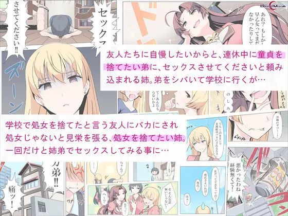 お姉ちゃんお願い！1回でいいからセックスさせて！