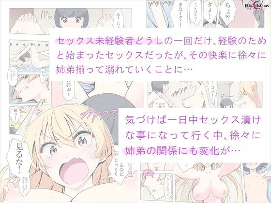 お姉ちゃんお願い！1回でいいからセックスさせて！