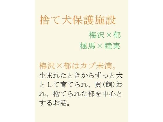 捨て犬保護施設