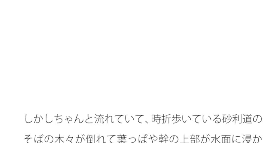 横に海が流れる砂利道と木々