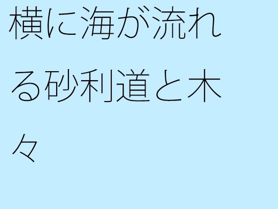 横に海が流れる砂利道と木々