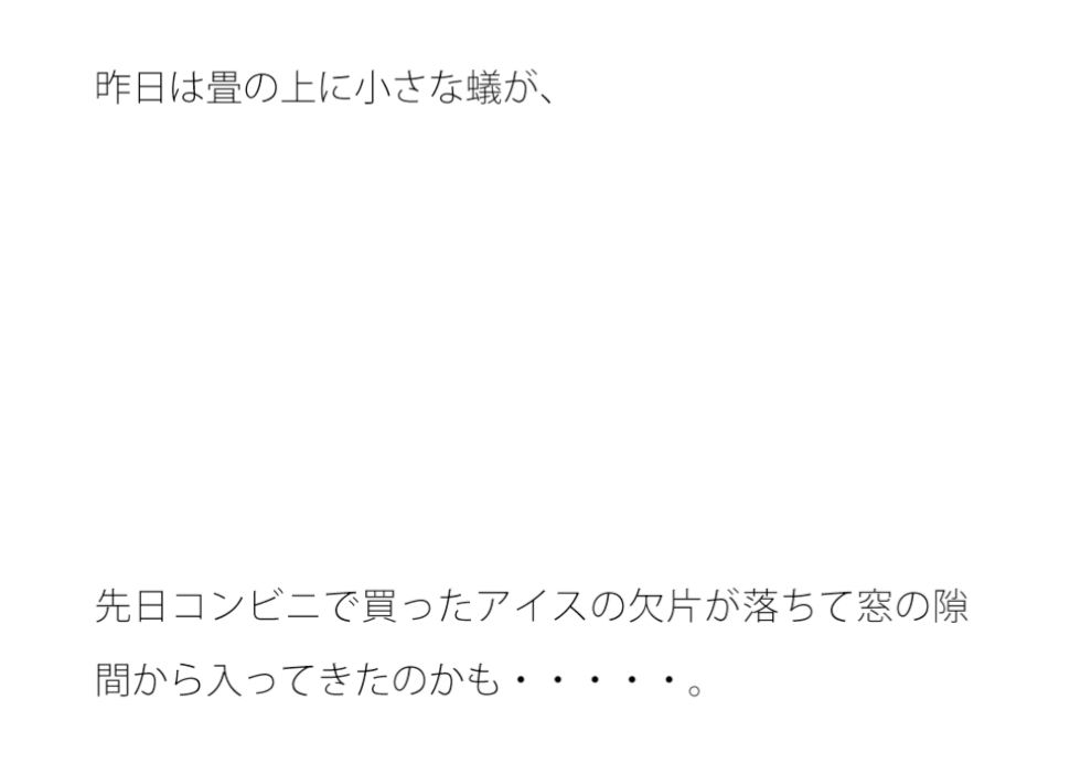 夏の虫たちと暑さにゆがむ景色