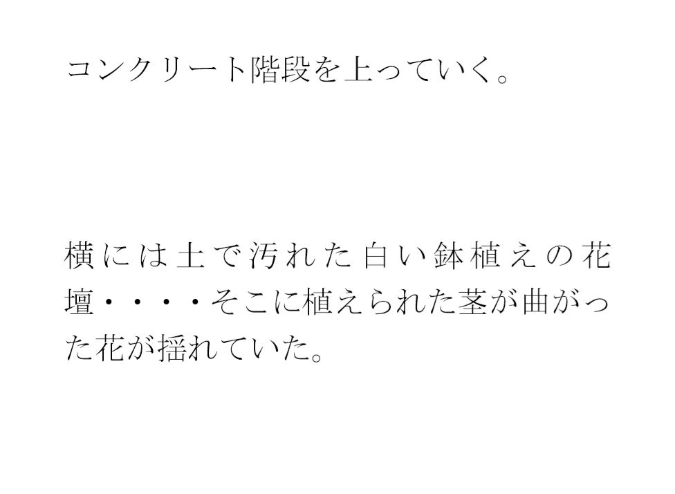 鉄の屋根の小屋・・・長いコンクリート階段を上り終えたあと現実の街へ